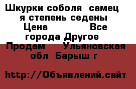 Шкурки соболя (самец) 1-я степень седены › Цена ­ 12 000 - Все города Другое » Продам   . Ульяновская обл.,Барыш г.